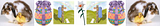 2c355e19.png image by MLKBP